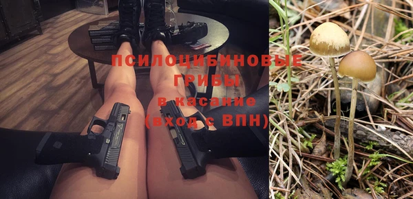 apvp Армянск